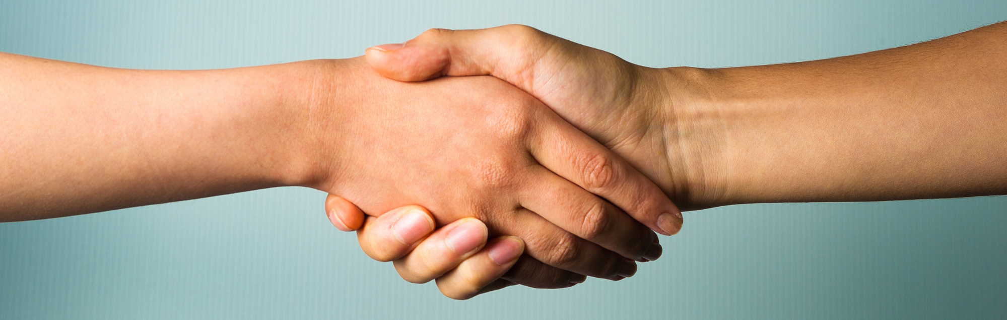 Lunchbox Landing & Vendor Page Banners (3)