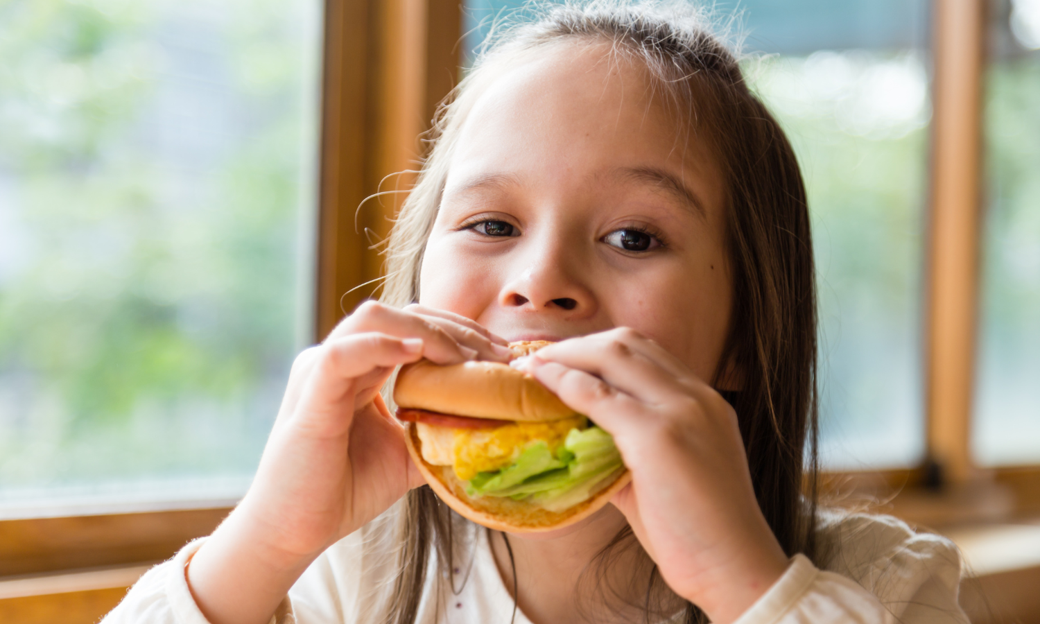 lunchbox- new logo- banner